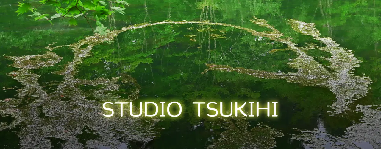 水面に映る森とSTUDIO TSUKIHIのロゴ
